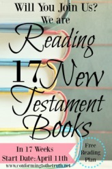 17-week-new-testament-reading-plan